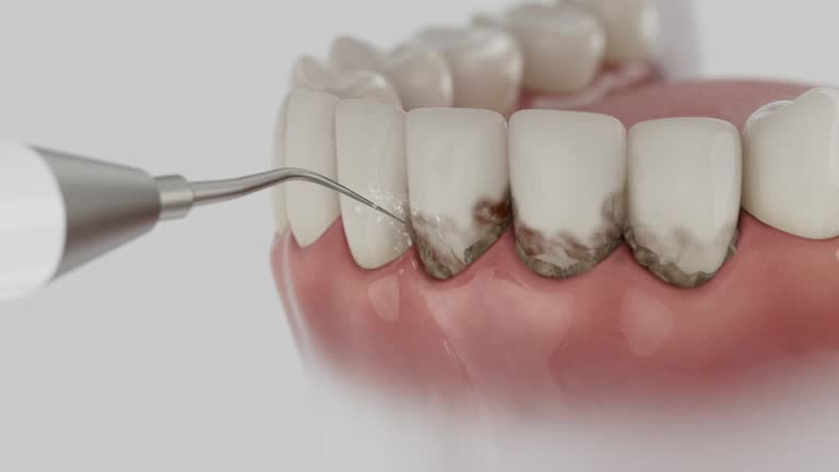 Reliable Dental contractor in Leupp, AZ by Dentist Open Now